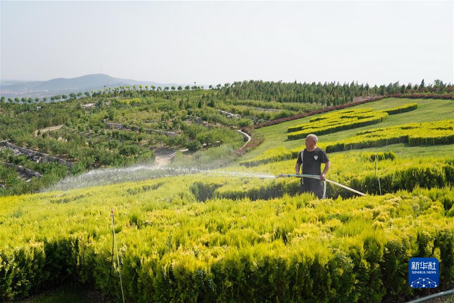 （新華全媒頭條·聚焦生物多樣性大會(huì)·圖文互動(dòng)）（3）攜手同行，開啟人類高質(zhì)量發(fā)展新征程——習(xí)近平主席在《生物多樣性公約》第十五次締約方大會(huì)領(lǐng)導(dǎo)人峰會(huì)上的主旨講話解讀